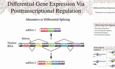 Differential Gene Expression Analysis